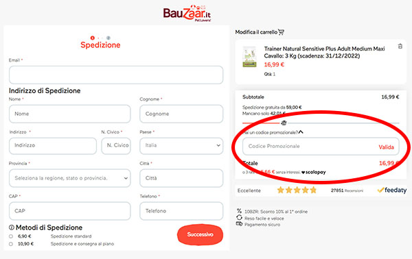 Dove inserire il codice promozionale Bauzaar codice promozionale Bauzaar